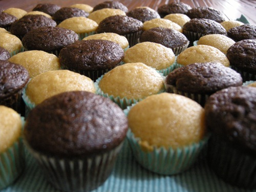 mini cupcakes
