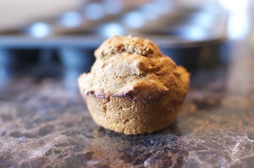 http://photos.happyherbivore.com/2011/10/single_serving_pumpkin_muffin500.jpg